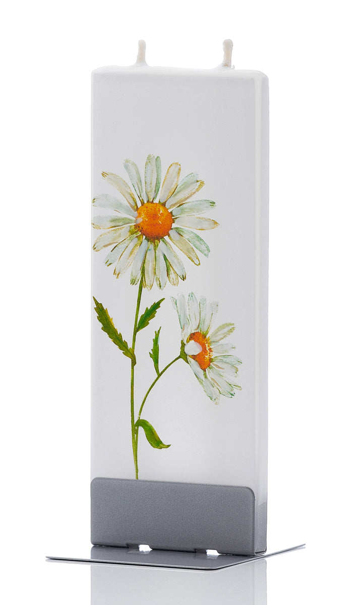 Two Daisies with Gold