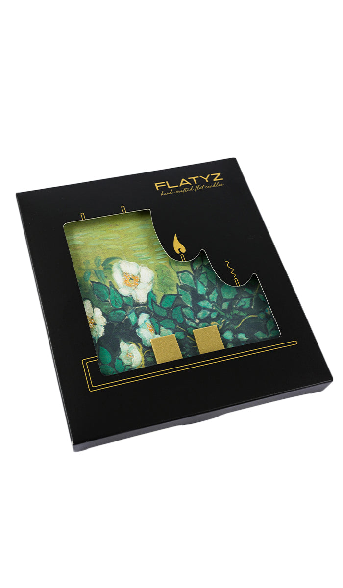 Vincent van Gogh - Wild Roses