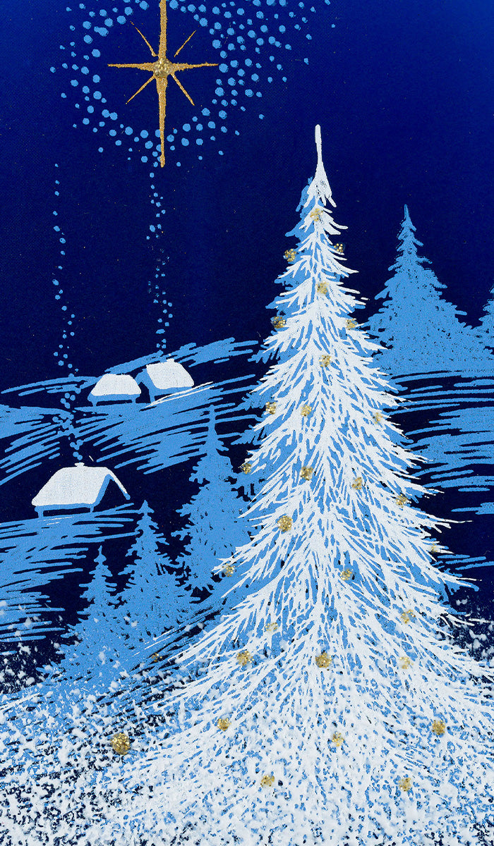 Christmas Night with a Star