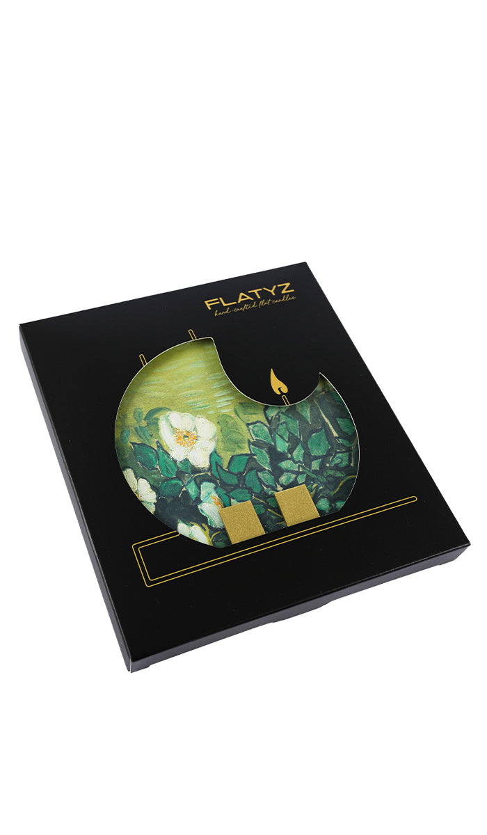 Vincent van Gogh - Wild Roses