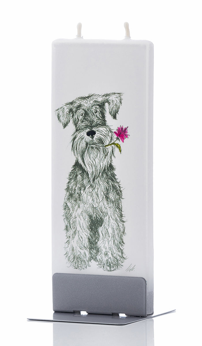 Black & White Dog with Flower in Mouth